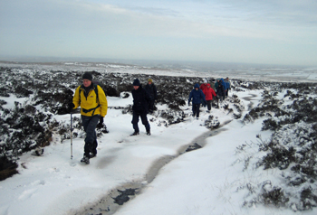 Ogden Path Photo