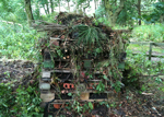 Mini Beast Hotel